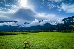IMG_6864_jpg