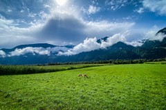 IMG_6865_jpg