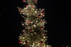 IMG_8506