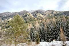 IMG_8513