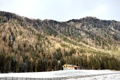 IMG_8514