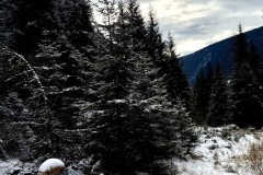 IMG_8521