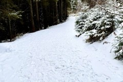 IMG_8523