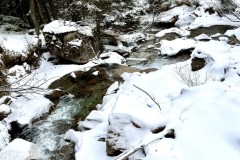 IMG_8527