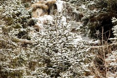 IMG_8531