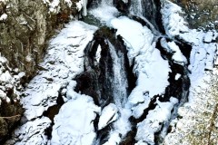 IMG_8534