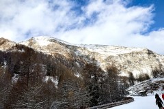 IMG_8545