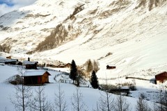 IMG_8546