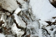 IMG_8566