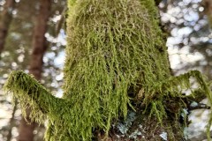 IMG_8567