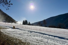 IMG_8573