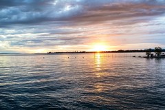 IMG_9918_jpg