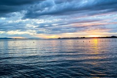 IMG_9922_jpg