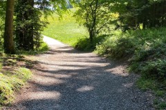IMG_9943_jpg