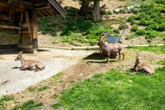 IMG_9952_jpg