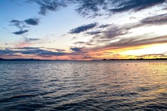 IMG_0059_jpg