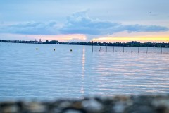 IMG_0089_jpg
