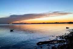 IMG_2010_jpg