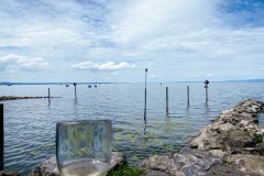 IMG_2123
