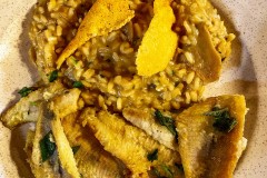 IMG_5276_jpg