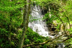 DSC00165