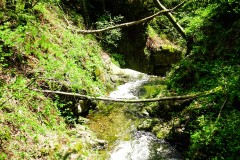 DSC00166
