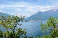 IMG_5493_jpg