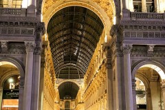 IMG_1670_jpg