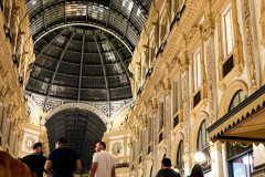 IMG_1671_jpg