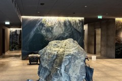 IMG_1379