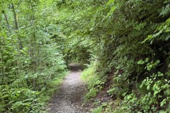 IMG_6265