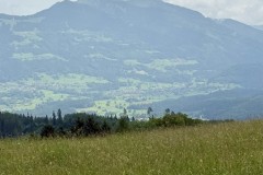 IMG_6273
