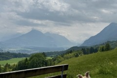 IMG_6274