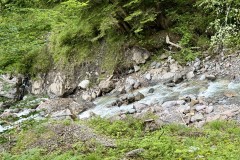 IMG_6280