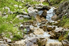 IMG_6289