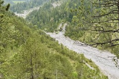 IMG_6299