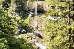 IMG_6342