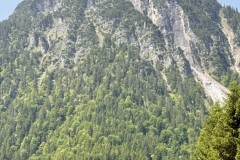 IMG_6346
