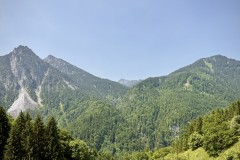 IMG_6353