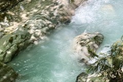 IMG_6357