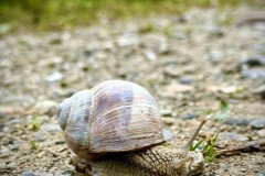 IMG_5395
