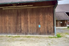 IMG_5397