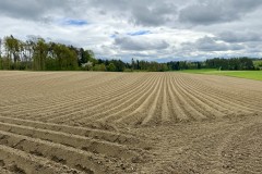 IMG_5419