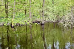 IMG_5420