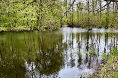IMG_5422