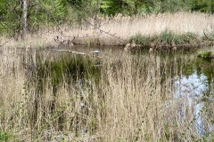 IMG_5430