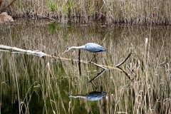 IMG_5431