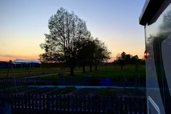 IMG_5447