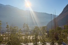 IMG_2275