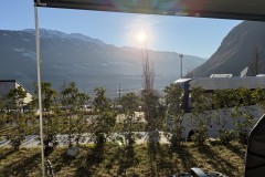 IMG_8581